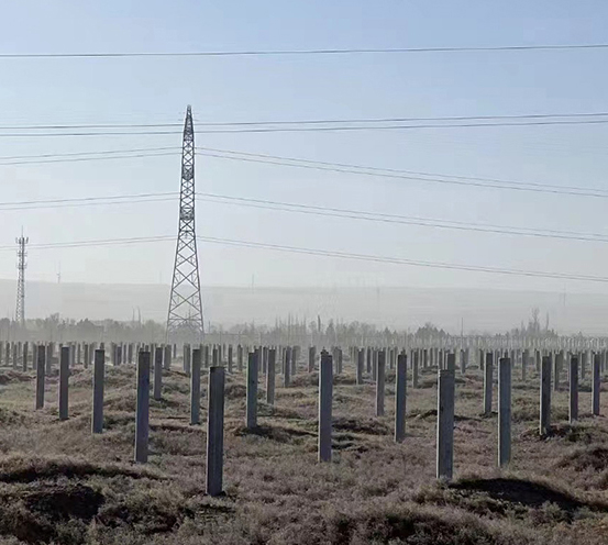 新能源光伏项目